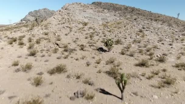 Baixa Altitude Aérea Subindo Uma Colina Rochosa Moderada Deserto Mojave — Vídeo de Stock