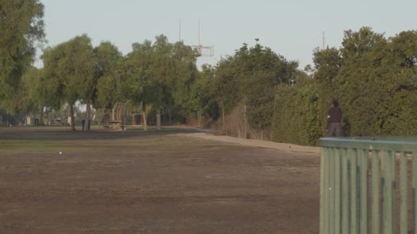 Woman Walking Empty Park Early Morning — Stock Video