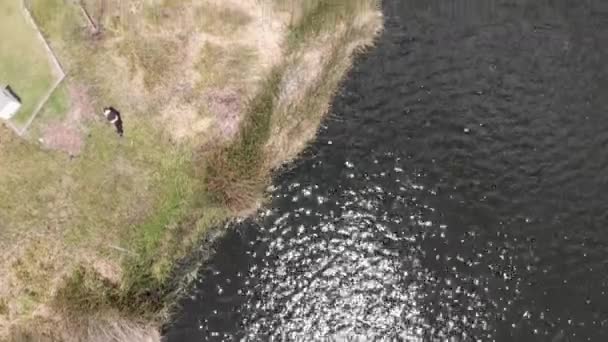 Dron Vista Superior Costa Perto Lago San Pablo — Vídeo de Stock