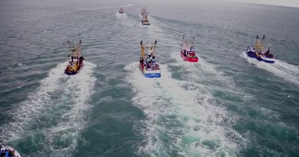Brixham Trawler Race Devon Storbritannien Flygvy Med Hjälp Drönare — Stockvideo