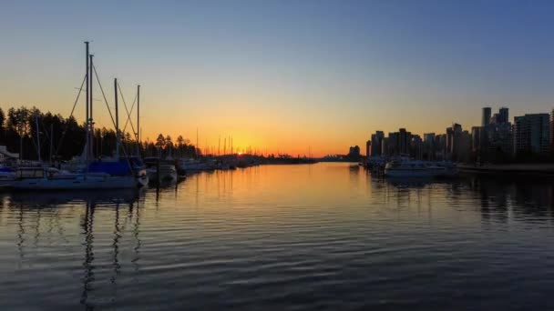 Sonnenaufgang Über Vancouver Coal Harbour Zeitraffer Weitschuss — Stockvideo