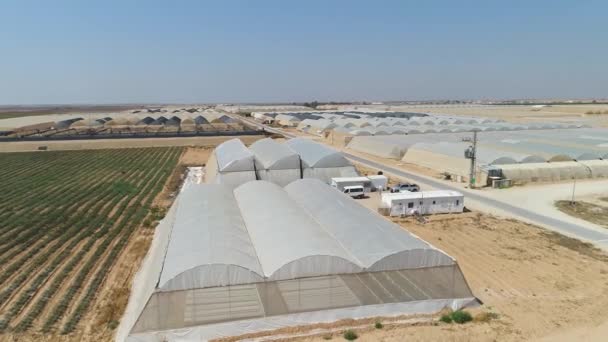 Imagens Aéreas Uma Fazenda Efeito Estufa Campos Agrícolas — Vídeo de Stock