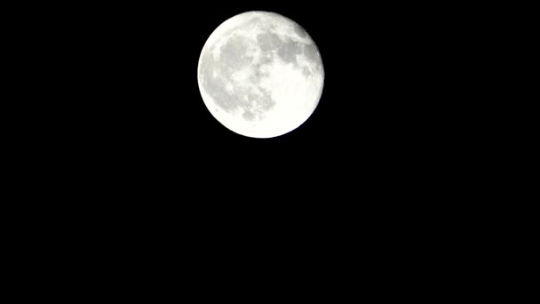 Una Vista Telescópica Estacionaria Luna Llena Cielo Oscuro — Vídeos de Stock