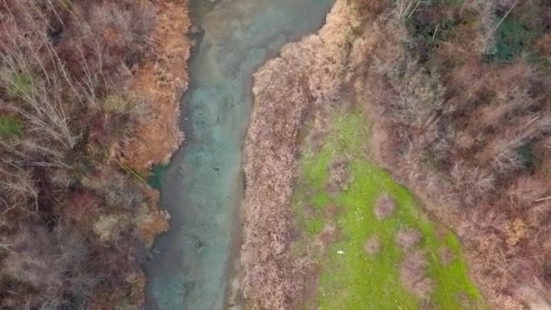 在加拿大不列颠哥伦比亚省哈里森米尔斯 一只秃头鹰飞过一条充满鲑鱼的蓝色小溪 从空中俯冲而下 慢动作 — 图库视频影像