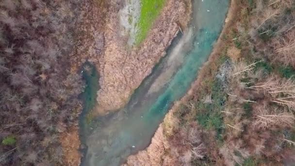 Aerial Top Shot Careca Eagles Gulls Flying Azure Creek Full — Vídeo de Stock