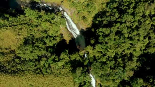Letecký Pohled Shora Odhaluje Izolované Vodopády Lesní Ploše — Stock video