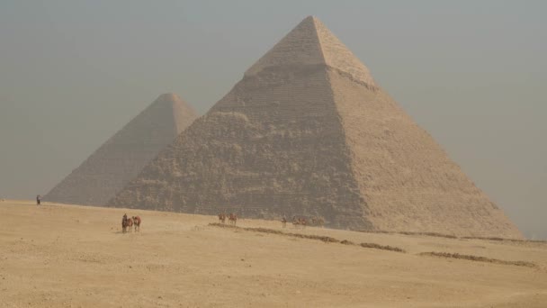 カイロ近郊の古代エジプトのピラミッドで ラクダが砂漠の砂の上を走っています 歴史的重要性の巨大な建築物の劣化 観光と旅行のコンセプト — ストック動画