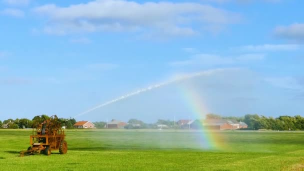 背景に美しい虹と地面に草に水を噴霧機械 — ストック動画