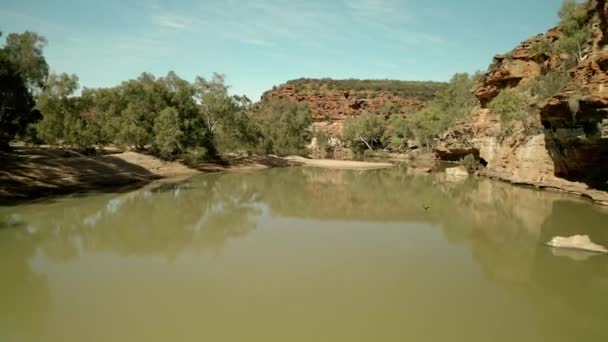 Aerial Footage Creek Birds — Stock Video