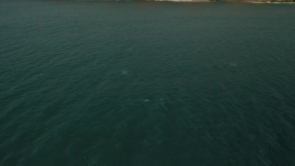 Αεροπλάνα Από Μια Φάλαινα Humpback Που Πηδάει Έξω Από Νερό — Αρχείο Βίντεο