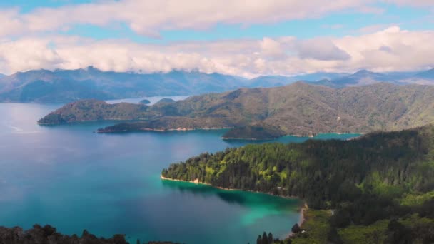 Weite Sicht Auf Eine Wunderschöne Grüne Bucht Marlborough Sounds Neuseeland — Stockvideo
