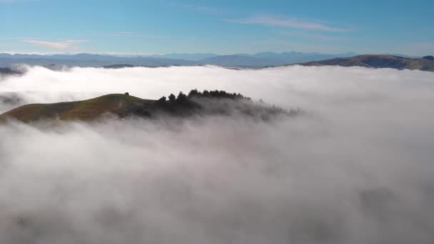 Krásný Výhled Kopec Nad Mořem Mlhy Mlhy Canterbury Jižní Ostrov — Stock video