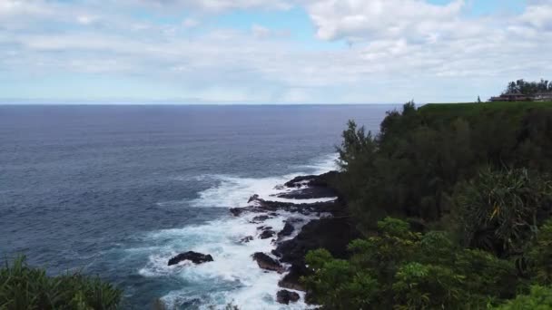 Hawaii Kauai Sarı Çiçeklerle Yeşillikten Yükselerek Uzak Dağlarla Kayalık Kıyılara — Stok video