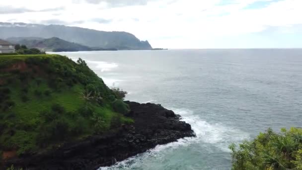 Hawaii Kauai Incline Vegetação Com Flores Amarelas Para Revelar Ondas — Vídeo de Stock