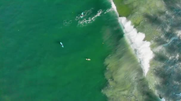 Top Aerial Shot People Surfing Varkala Beach Kerala South India — Video Stock