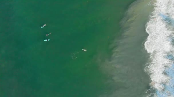 Vue Aérienne Haut Bas Personnes Surfant Varkala Beach Kerala Inde — Video