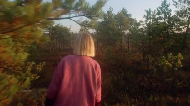 Bewegende Schot Van Achteren Van Vrouwen Wandelen Het Moeras Bos — Stockvideo