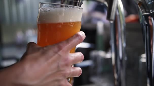Cantinero Vertiendo Una Pinta Cerveza Dorada Una Fiesta Jardín Cámara — Vídeos de Stock