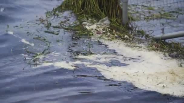 Cheddar Somerset United Kingdom Грудня 2019 Брудна Вода Білою Піною — стокове відео
