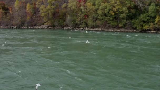 Дрони Над Дияволом Hole Niagara Falls Один Багатьох Кліпів Цій — стокове відео