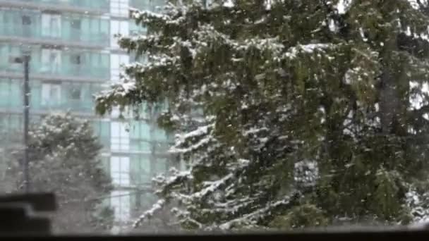 Mirando Través Una Ventana Donde Cae Nieve Ciudad Una Ciudad — Vídeo de stock