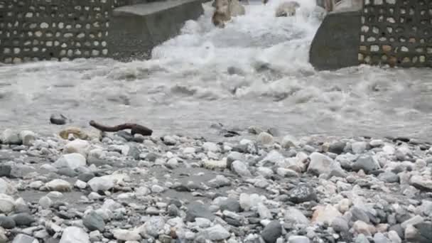 Râul Muntos Himalaya Gange Care Curge Prin Satele Orașele Himalaya — Videoclip de stoc