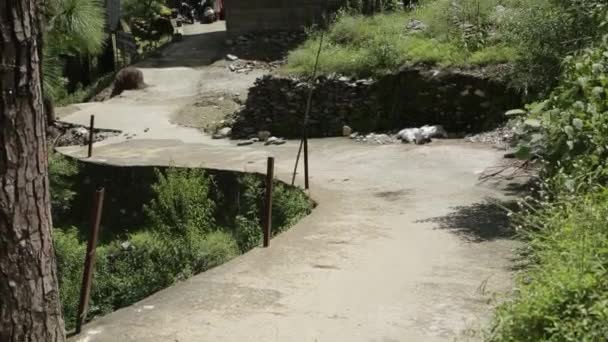 Schönheit Der Himalaya Hügel Uttarakhand India Häuser Menschen Hügel — Stockvideo