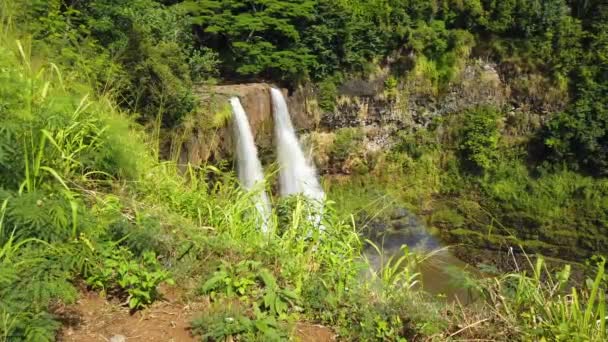 4K夏威夷考艾岛高耸的威拉瀑布 前景一片青草 透露了更多的威拉瀑布 — 图库视频影像