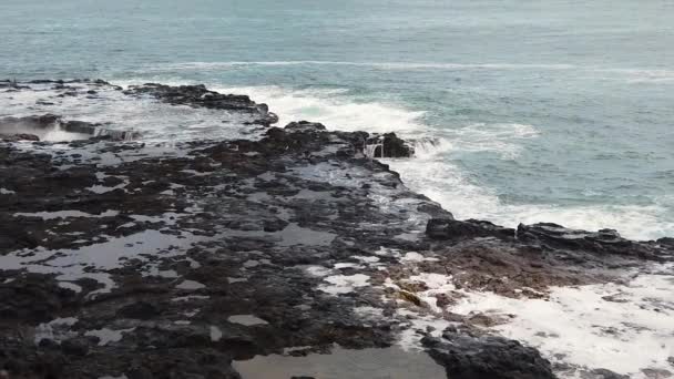 Slow Motion Hawaii Kauai Right Left Pan Landing Spouting Horn — Stock Video