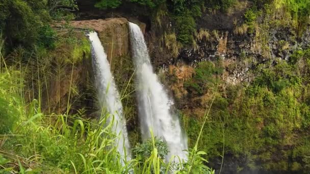 Slow Motionハワイカウアイ島の静止画ワイルアの滝に背の高い草が右前に吹いています — ストック動画