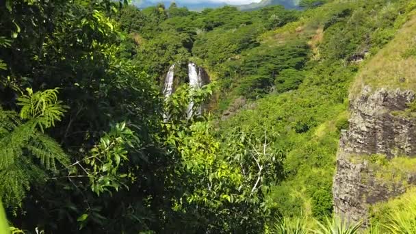 Ağır Çekim Hawaii Kauai Opaeka Şelalesi Nin Uzaklığını Ortaya Çıkarmak — Stok video