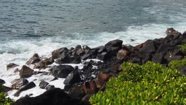 Yavaş Çekim Hawaii Kauai Durağan Okyanus Dalgaları Sol Sağ Planda — Stok video