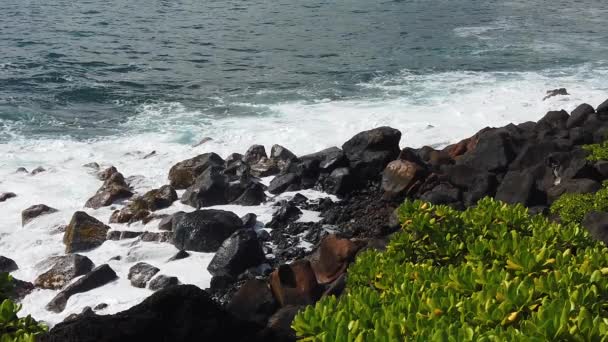 Hdスローモーションハワイカウアイ島の海岸線に沿って岩の上に左から右へと波が砕け 右下の前景に低木があり — ストック動画