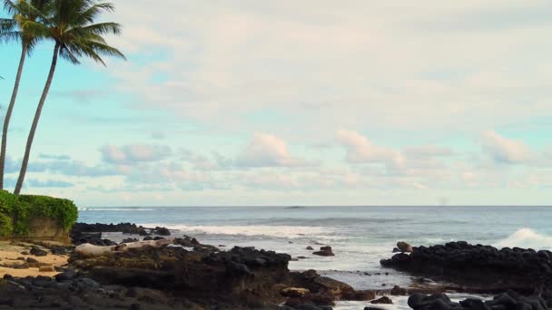 Cámara Lenta Hawaii Kauai Estática Olas Del Océano Edificio Derecha — Vídeos de Stock
