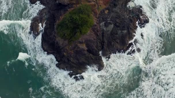 Aerial Aufnahme Von Meereswellen Die Auf Einen Strand Tofino Krachen — Stockvideo