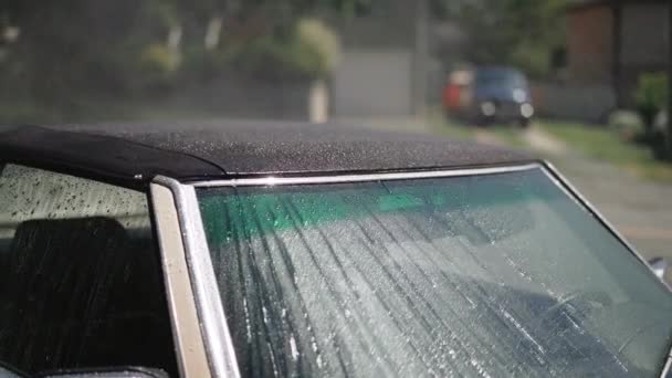 Opryskiwanie Samochodu Wodą Słoneczny Letni Dzień Kanadzie — Wideo stockowe