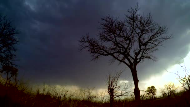 Clip Cámara Lenta Constante Una Gran Tormenta Eléctrica Iluminación Que — Vídeo de stock