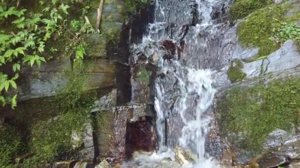 Small Cascading Waterfall Flowing Downhill Longji Rice Terraces China — Stock Video