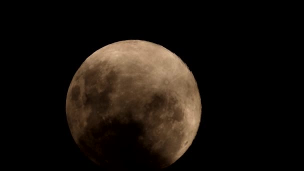 Różowa Pełnia Księżyca Wynurzająca Się Zza Ciemnych Burzliwych Chmur Przeciwko — Wideo stockowe