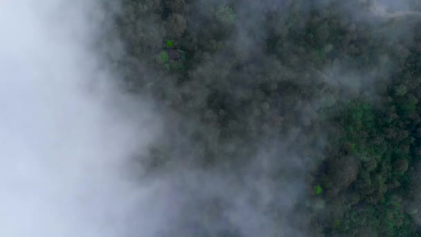 Εναέρια Bird Eye Top View Flying Clouds Green Forest Area — Αρχείο Βίντεο