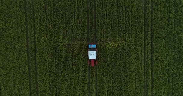Traktor Besprutning Grödor Fält Med Insektsmedel Ovan Spårning Skott — Stockvideo