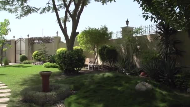 Een Deel Van Een Tuin Met Prachtige Verzorging Verscheidenheid Aan — Stockvideo