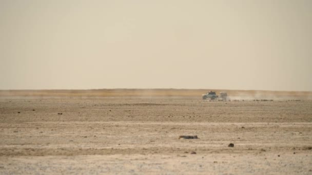 Botswana Daki Makgadikgadi Tuz Tavası Nın Kuru Çorak Arazisinden Geçen — Stok video