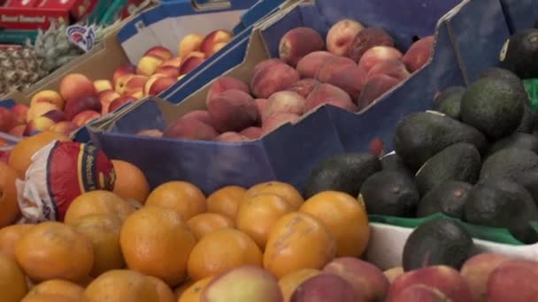 Obstregal Mit Nektarinen Äpfeln Orangen Pfirsichen Und Avocados — Stockvideo