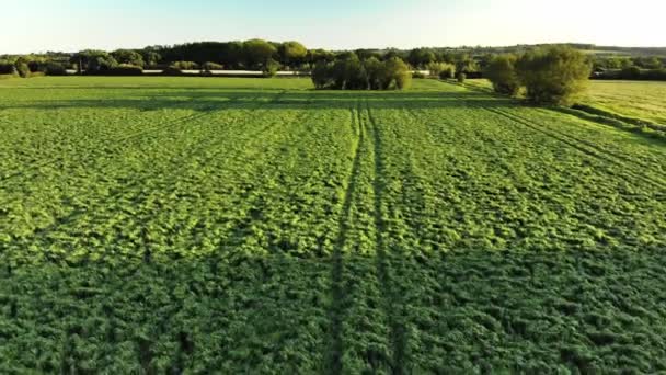 Aérea Campo Agrícola Verde Cerca Glastonbury Somerset — Vídeo de stock