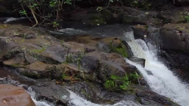 Havaj Kauai Zpomalit Pánev Vpravo Naklonit Dolů Rozděleného Vodopádu — Stock video