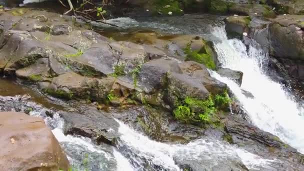 Hawaii Kauai Yavaş Çekim Tavası Sağa Yatır Şelalenin Altındaki Lav — Stok video