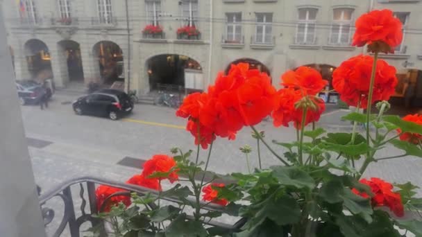 Bern Switzerland Window View Old Street Red Geraniums — Stock Video