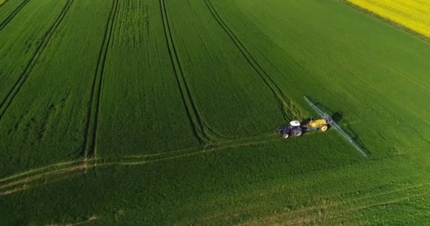 Drone Colpo Macchine Agricole Spruzzando Insetticida Campo Verde Riprese Aeree — Video Stock