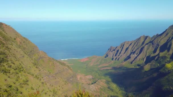4Kハワイカウアイが立ち上がり 木から美しい渓谷と海の景色に向かって右側にパンがあります プウキラ展望台 — ストック動画